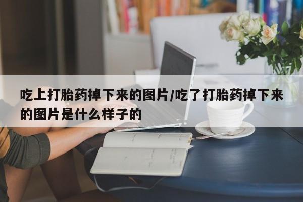 流产药在线购买微信吃上打胎药掉下来的图片/吃了打胎药掉下来的图片是什么样子的